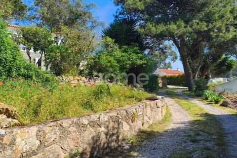 Villa i Alcabideche, Lisbon, Alcabideche - € 3.500.000 | Ref: ZMPT587962 - foto 5