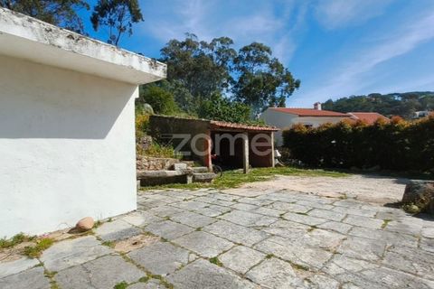 Villa i Alcabideche, Lisbon, Alcabideche - € 3.500.000 | Ref: ZMPT587962 - foto 8