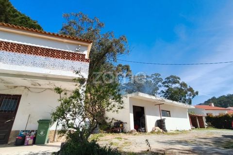 Villa i Alcabideche, Lisbon, Alcabideche - € 3.500.000 | Ref: ZMPT587962 - foto 9