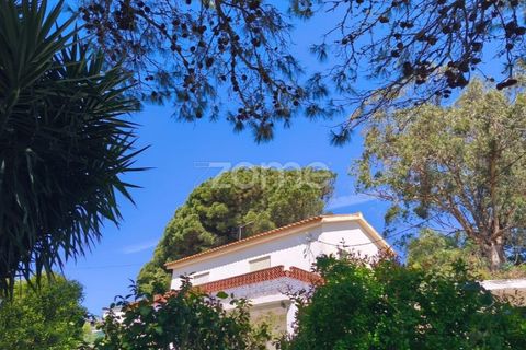 Villa i Alcabideche, Lisbon, Alcabideche - € 3.500.000 | Ref: ZMPT587962 - foto 10