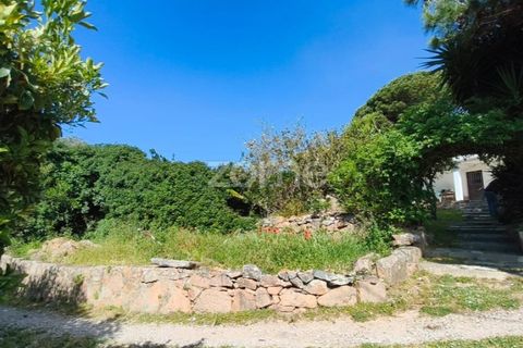 Villa i Alcabideche, Lisbon, Alcabideche - € 3.500.000 | Ref: ZMPT587962 - foto 12