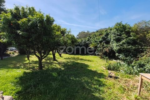 Villa i Alcabideche, Lisbon, Alcabideche - € 3.500.000 | Ref: ZMPT587962 - foto 13