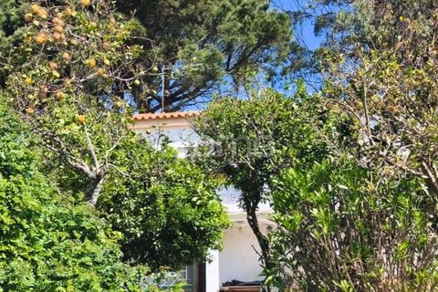 Villa i Alcabideche, Lisbon, Alcabideche - € 3.500.000 | Ref: ZMPT587962 - foto 16