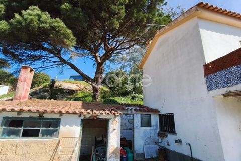 Villa i Alcabideche, Lisbon, Alcabideche - € 3.500.000 | Ref: ZMPT587962 - foto 17