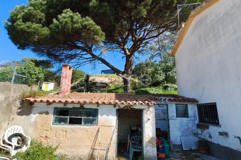 Villa i Alcabideche, Lisbon, Alcabideche - € 3.500.000 | Ref: ZMPT587962 - foto 18