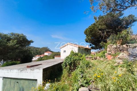 Villa i Alcabideche, Lisbon, Alcabideche - € 3.500.000 | Ref: ZMPT587962 - foto 19