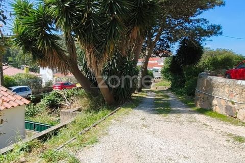 Villa i Alcabideche, Lisbon, Alcabideche - € 3.500.000 | Ref: ZMPT587962 - foto 21