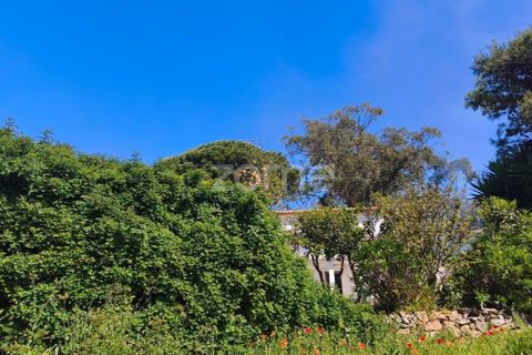 Villa i Alcabideche, Lisbon, Alcabideche - € 3.500.000 | Ref: ZMPT587962 - foto 22