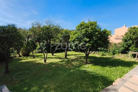 Villa i Alcabideche, Lisbon, Alcabideche - € 3.500.000 | Ref: ZMPT587962 - foto 23