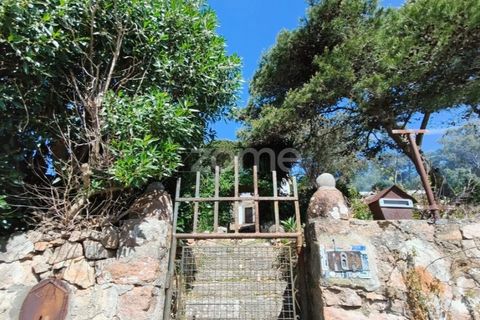 Villa i Alcabideche, Lisbon, Alcabideche - € 3.500.000 | Ref: ZMPT587962 - foto 24