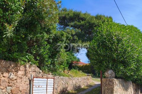 Villa i Alcabideche, Lisbon, Alcabideche - € 3.500.000 | Ref: ZMPT587962 - foto 25