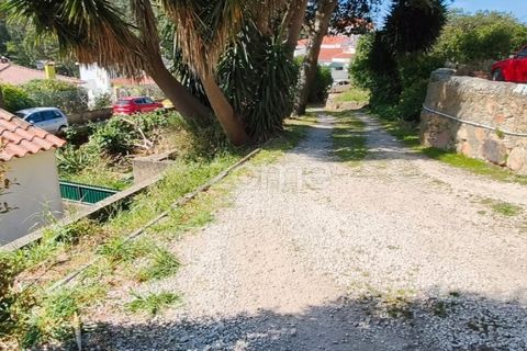 Villa i Alcabideche, Lisbon, Alcabideche - € 3.500.000 | Ref: ZMPT587962 - foto 26
