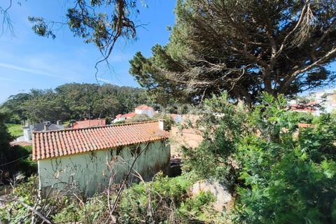 Villa i Alcabideche, Lisbon, Alcabideche - € 3.500.000 | Ref: ZMPT587962 - foto 27
