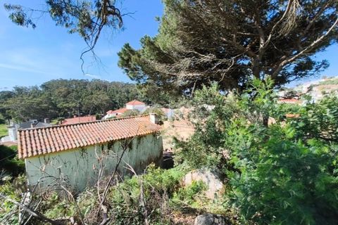 Villa i Alcabideche, Lisbon, Alcabideche - € 3.500.000 | Ref: ZMPT587962 - foto 28