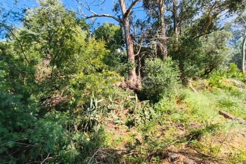 Villa i Alcabideche, Lisbon, Alcabideche - € 3.500.000 | Ref: ZMPT587962 - foto 31