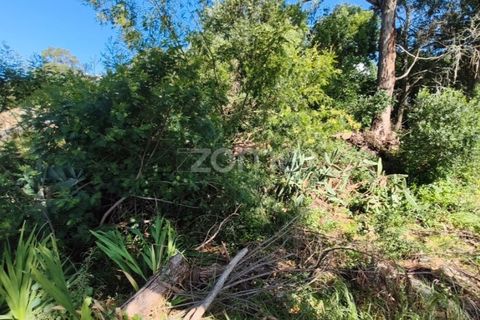 Villa i Alcabideche, Lisbon, Alcabideche - € 3.500.000 | Ref: ZMPT587962 - foto 32