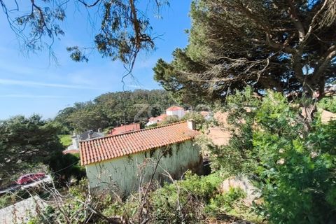 Villa i Alcabideche, Lisbon, Alcabideche - € 3.500.000 | Ref: ZMPT587962 - foto 33
