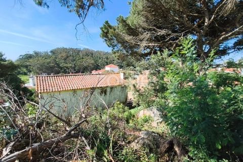 Villa i Alcabideche, Lisbon, Alcabideche - € 3.500.000 | Ref: ZMPT587962 - foto 34