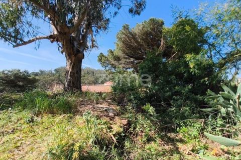 Villa i Alcabideche, Lisbon, Alcabideche - € 3.500.000 | Ref: ZMPT587962 - foto 35
