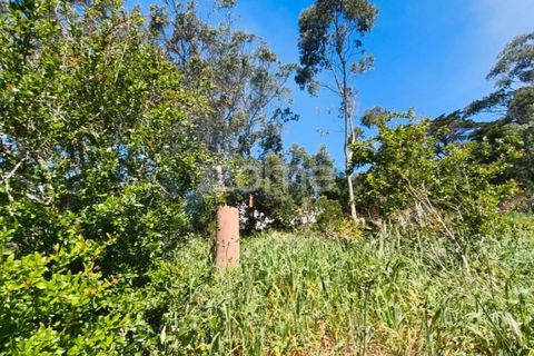 Villa i Alcabideche, Lisbon, Alcabideche - € 3.500.000 | Ref: ZMPT587962 - foto 36