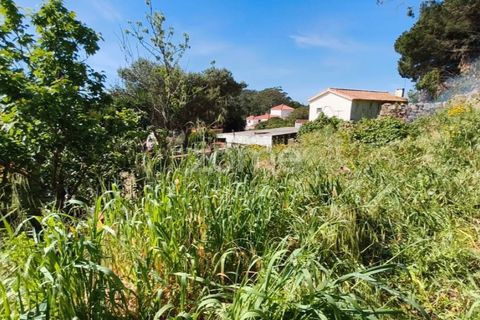Villa i Alcabideche, Lisbon, Alcabideche - € 3.500.000 | Ref: ZMPT587962 - foto 37