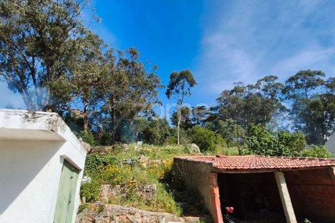 Villa i Alcabideche, Lisbon, Alcabideche - € 3.500.000 | Ref: ZMPT587962 - foto 6