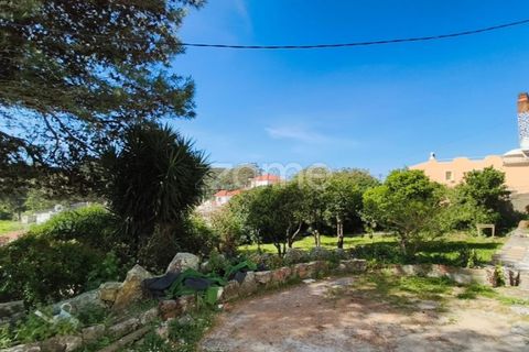 Villa i Alcabideche, Lisbon, Alcabideche - € 3.500.000 | Ref: ZMPT587962 - foto 14