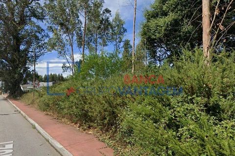 Helårsgrund i Ovar, Aveiro, Ovar - € 72.000 | Ref: T-30669 - foto 3