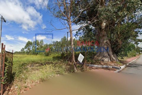 Helårsgrund i Ovar, Aveiro, Ovar - € 72.000 | Ref: T-30669 - foto 4