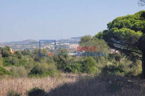 Helårsgrund i Sintra, Lisbon, Sintra - € 495.000 | Ref: T-29691 - foto 6