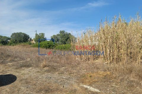 Helårsgrund i Sintra, Lisbon, Sintra - € 495.000 | Ref: T-29691 - foto 7