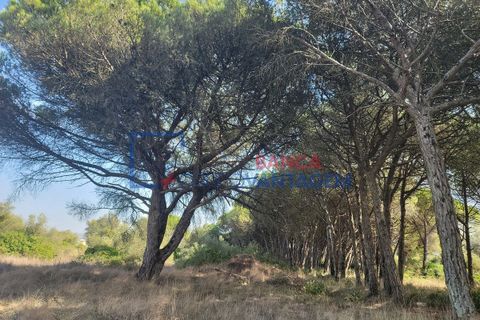 Helårsgrund i Sintra, Lisbon, Sintra - € 495.000 | Ref: T-29691 - foto 8