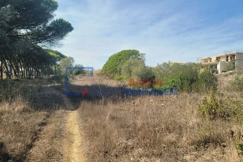 Helårsgrund i Sintra, Lisbon, Sintra - € 495.000 | Ref: T-29691 - foto 13