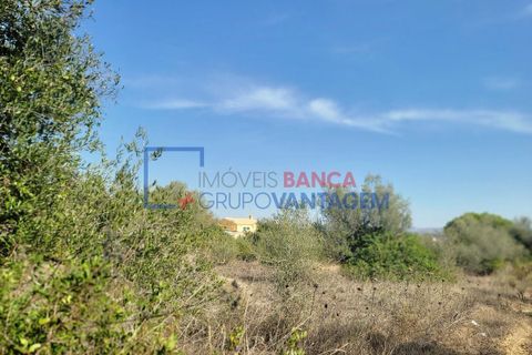 Helårsgrund i Sintra, Lisbon, Sintra - € 495.000 | Ref: T-29691 - foto 16