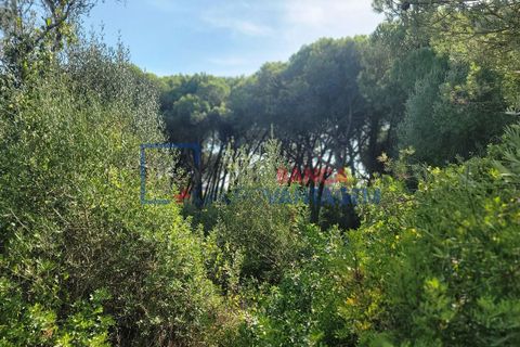 Helårsgrund i Sintra, Lisbon, Sintra - € 495.000 | Ref: T-29691 - foto 17