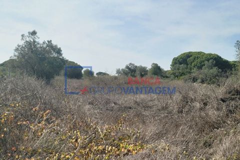 Helårsgrund i Sintra, Lisbon, Sintra - € 495.000 | Ref: T-29691 - foto 18
