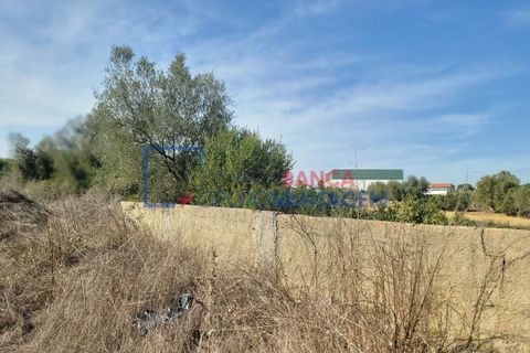 Helårsgrund i Sintra, Lisbon, Sintra - € 495.000 | Ref: T-29691 - foto 21