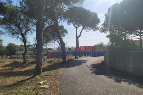 Helårsgrund i Sintra, Lisbon, Sintra - € 495.000 | Ref: T-29691 - foto 24