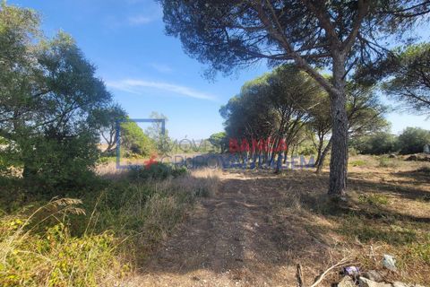 Helårsgrund i Sintra, Lisbon, Sintra - € 495.000 | Ref: T-29691 - foto 27