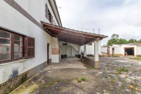 Villa i Coimbra, Coimbra, Coimbra - € 265.000 | Ref: M-30683 - foto 5