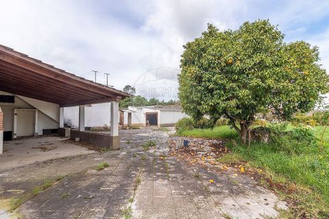 Villa i Coimbra, Coimbra, Coimbra - € 265.000 | Ref: M-30683 - foto 7