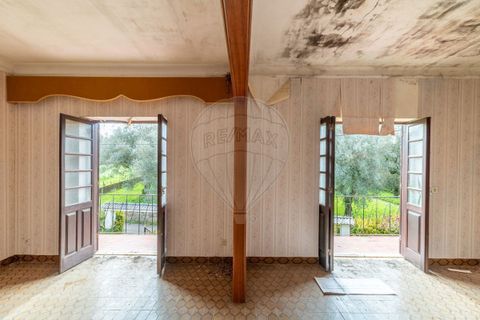 Villa i Coimbra, Coimbra, Coimbra - € 265.000 | Ref: M-30683 - foto 14