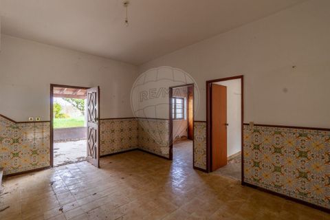 Villa i Coimbra, Coimbra, Coimbra - € 265.000 | Ref: M-30683 - foto 22