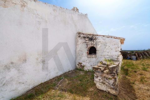 Villa a Almodovar, Beja, Almodovar - € 130.000 | Ref: KWPT-031095 - foto 18