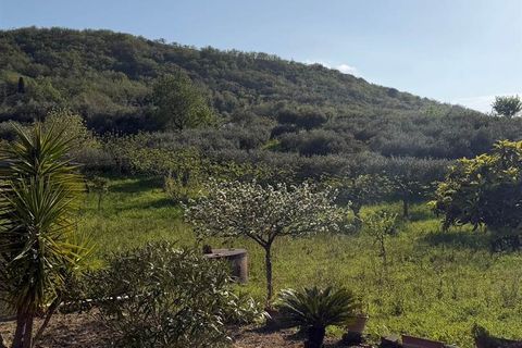 Villa i Bisacquino, Palermo, Bisacquino - € 85.000 | Ref: 8682RV95231 - foto 9