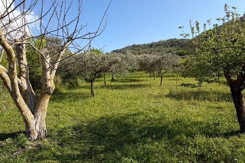 Villa i Bisacquino, Palermo, Bisacquino - € 85.000 | Ref: 8682RV95231 - foto 10
