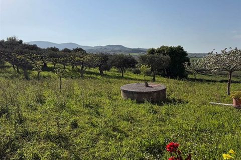 Villa i Bisacquino, Palermo, Bisacquino - € 85.000 | Ref: 8682RV95231 - foto 11