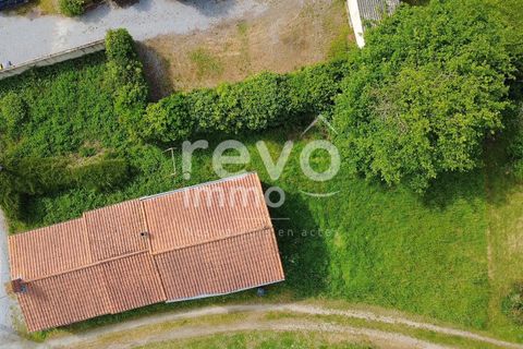 Villa i Champtoceaux, Maine-et-Loire, Champtoceaux - € 195.000 | Ref: 4901051644 - foto 9