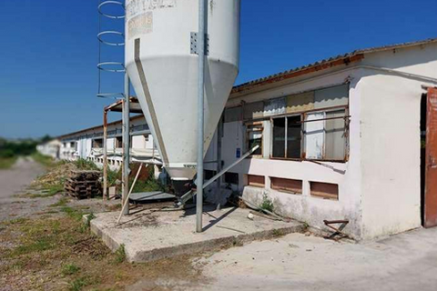 Erhvervsejendom i Sona, Verona, Sona - € 71.250 | Ref: GB22072026 - foto 5
