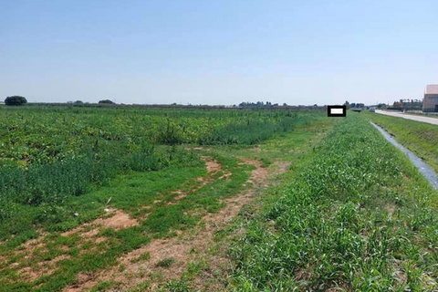 Grond in Mozzecane, Verona, Mozzecane - € 187.500 | Ref: GB22072026 - foto 4